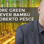 Perché il bambù fa bene all'ambiente
