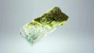 Crediti di carbonio: la soluzione per ridurre la carbon footprint delle aziende