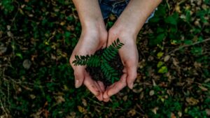 come rendere la tua azienda più verde e competitiva