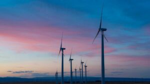 calcolare-la-carbon-footprint-scopri-come