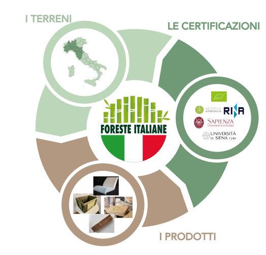 Business model forever bambù
