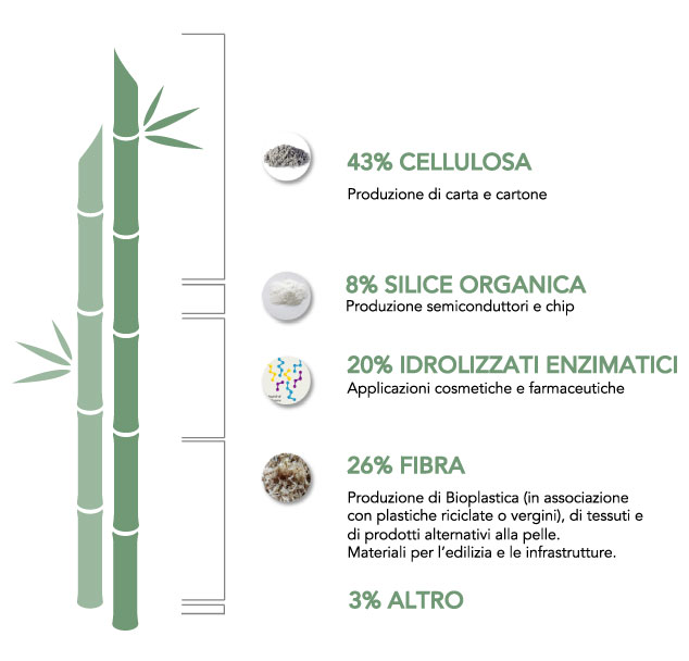 grafica composizione canna bambù