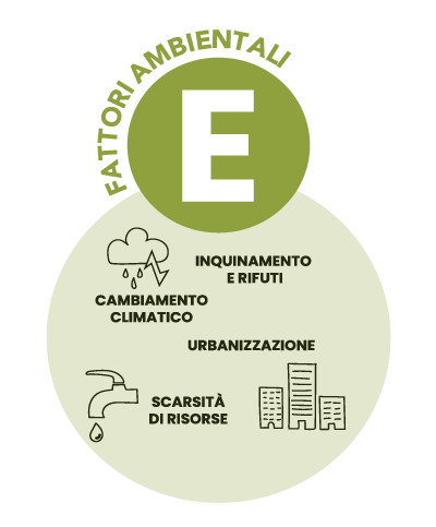 servizi per sostenibilità - environmental