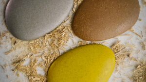 Bioplastica-quali-sono-i-principali-usi?