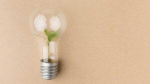 La-Lampadina-in-Bambù-la-rivoluzione-di-Thomas-Alva-Edison