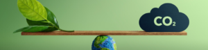 Mitigazione della carbon footprint: la storia di una PMI che ha scelto di misurare prima di promettere