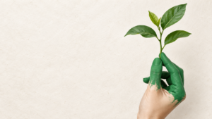 Green claims, la fine del "verde generico": cosa impone il D.Lgs. 30/2026 alle imprese