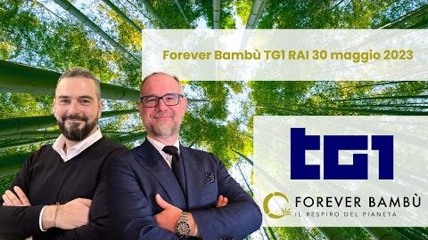 Forever Bambù TG1 RAI 30 maggio 2023