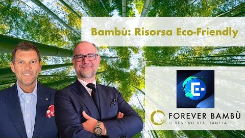 bambu risorsa eco-friendly